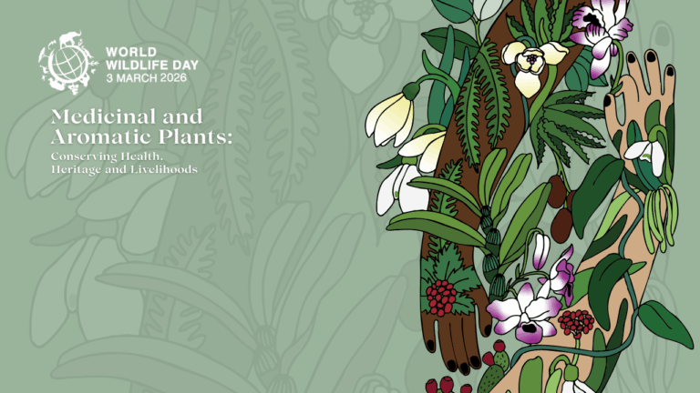 Svetový deň divej prírody – 3. marec 2026 – CHKO Ponitrie